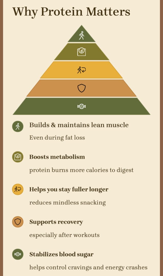 Why Protein Is Your Secret Weapon (And How to Actually Eat More of It) 2 Protein